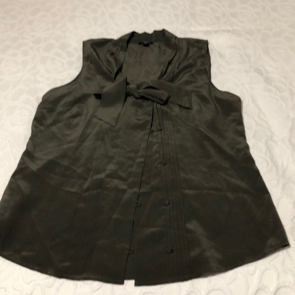 Ann Taylor silk